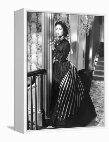 RAINTREE COUNTY, 1957 directed by EDWARD DMYTRYK Elizabeth Taylor (b/w photo)-null-Framed Stretched Canvas