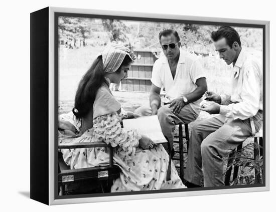 Raintree County, 1957-null-Framed Premier Image Canvas