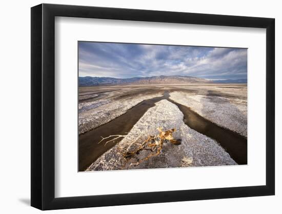 Rainwater creates a creek on Salt Flats. Death Valley, California.-Tom Norring-Framed Photographic Print