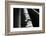 Rainwater-K.B. White-Framed Photographic Print