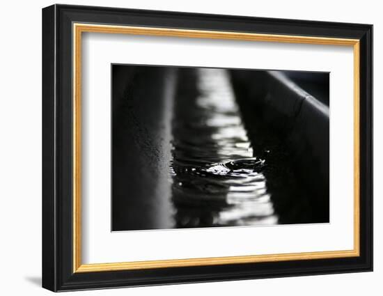 Rainwater-K.B. White-Framed Photographic Print