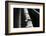 Rainwater-K.B. White-Framed Photographic Print