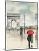 Rainy Day Lovers II-Grace Popp-Mounted Art Print