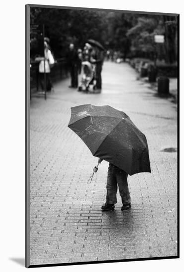 Rainy Day-Liesbeth Van Der-Mounted Photographic Print