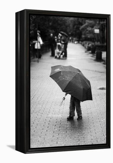 Rainy Day-Liesbeth Van Der-Framed Premier Image Canvas