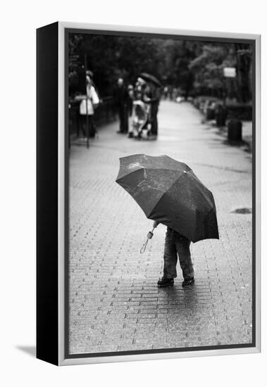 Rainy Day-Liesbeth Van Der-Framed Premier Image Canvas