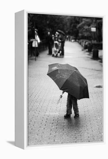 Rainy Day-Liesbeth Van Der-Framed Premier Image Canvas