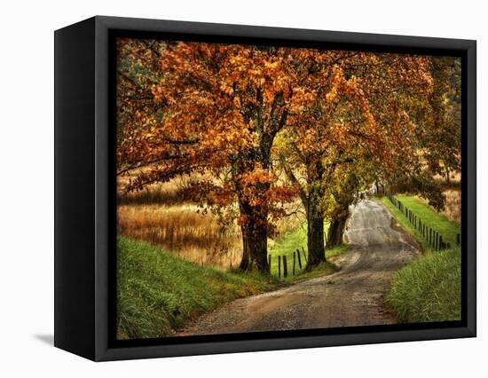 Rainy Morning on Hyatt Lane-Danny Head-Framed Stretched Canvas