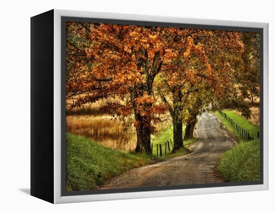 Rainy Morning on Hyatt Lane-Danny Head-Framed Stretched Canvas