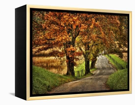 Rainy Morning on Hyatt Lane-Danny Head-Framed Stretched Canvas