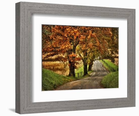 Rainy Morning on Hyatt Lane-Danny Head-Framed Art Print