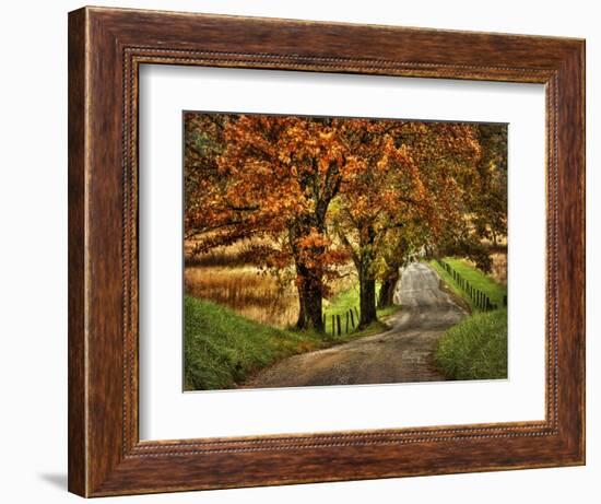 Rainy Morning on Hyatt Lane-Danny Head-Framed Art Print