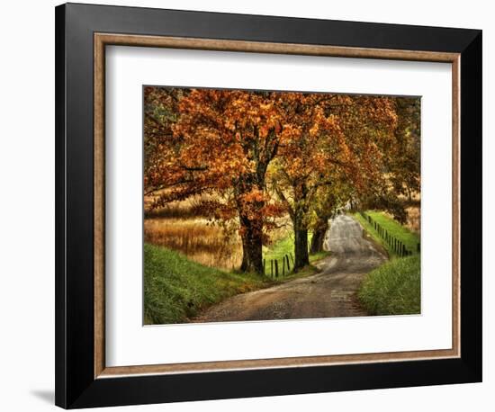 Rainy Morning on Hyatt Lane-Danny Head-Framed Art Print