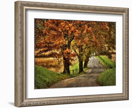 Rainy Morning on Hyatt Lane-Danny Head-Framed Art Print