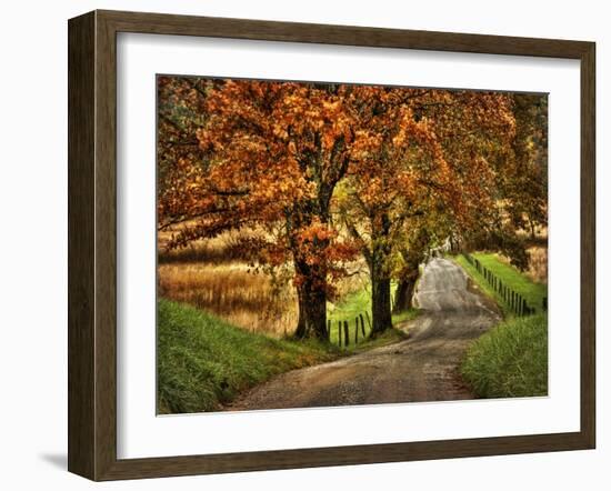 Rainy Morning on Hyatt Lane-Danny Head-Framed Art Print