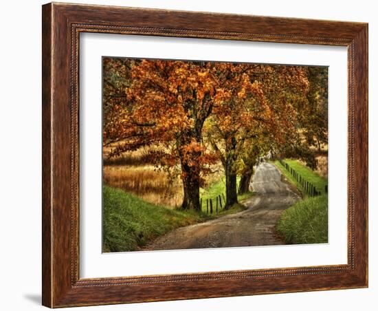 Rainy Morning on Hyatt Lane-Danny Head-Framed Art Print