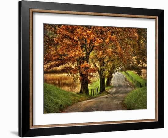 Rainy Morning on Hyatt Lane-Danny Head-Framed Art Print