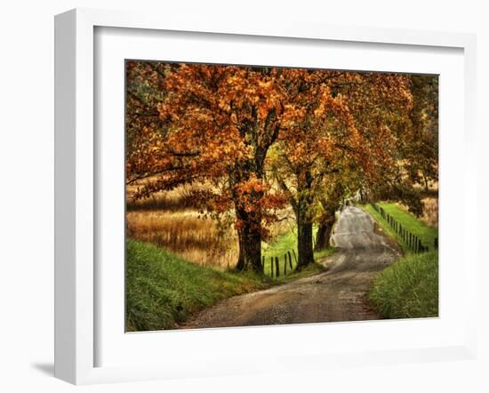 Rainy Morning on Hyatt Lane-Danny Head-Framed Art Print