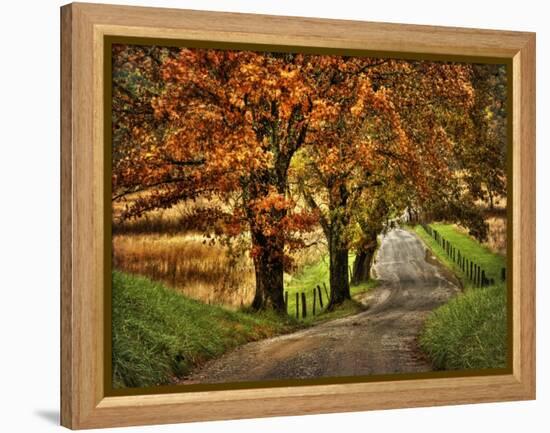 Rainy Morning on Hyatt Lane-Danny Head-Framed Stretched Canvas