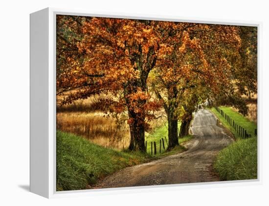 Rainy Morning on Hyatt Lane-Danny Head-Framed Stretched Canvas