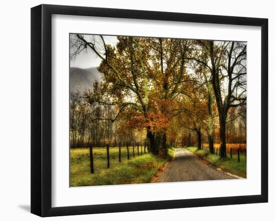 Rainy Morning on Sparks Lane-Danny Head-Framed Art Print