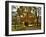 Rainy Morning on Sparks Lane-Danny Head-Framed Art Print