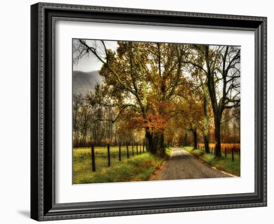 Rainy Morning on Sparks Lane-Danny Head-Framed Art Print