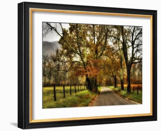 Rainy Morning on Sparks Lane-Danny Head-Framed Art Print