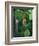 Rainy Season Vegetation, Gombe National Park, Tanzania-Kristin Mosher-Framed Photographic Print