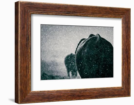 Rainy season-Mike Taylor-Framed Photographic Print