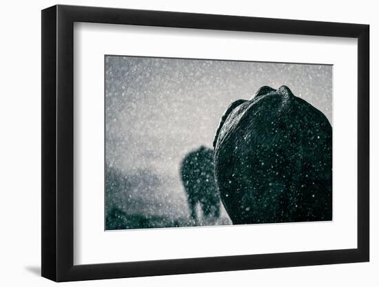 Rainy season-Mike Taylor-Framed Photographic Print