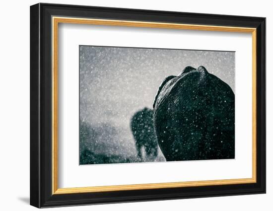 Rainy season-Mike Taylor-Framed Photographic Print