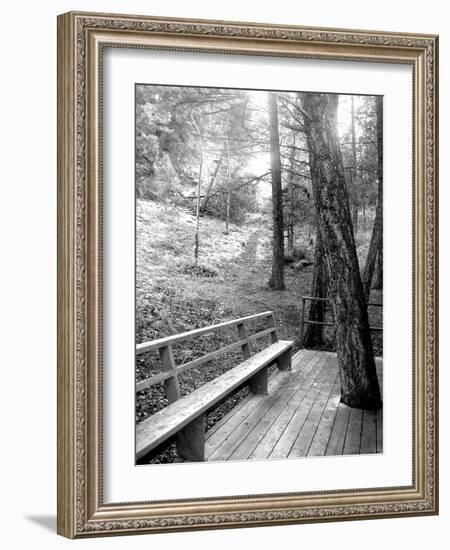 Rainy September Day-Ruth Palmer-Framed Art Print