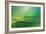 Rainy Val D'Orcia-Marcin Sobas-Framed Photographic Print