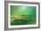 Rainy Val D'Orcia-Marcin Sobas-Framed Photographic Print