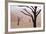 Rainy weather in early morning, Deadvlei, Namib-Naukluft Park, Namibia-Wendy Kaveney-Framed Photographic Print