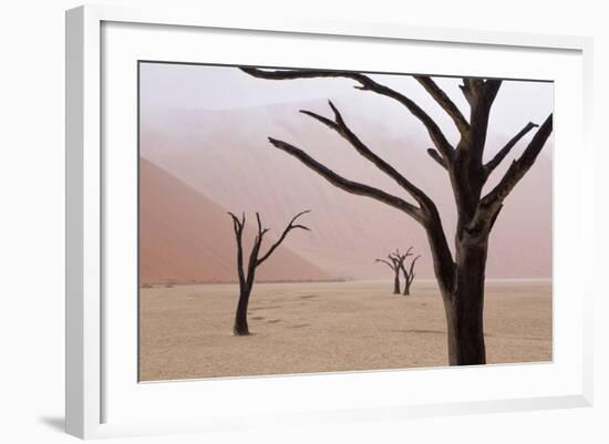Rainy weather in early morning, Deadvlei, Namib-Naukluft Park, Namibia-Wendy Kaveney-Framed Photographic Print