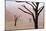 Rainy weather in early morning, Deadvlei, Namib-Naukluft Park, Namibia-Wendy Kaveney-Mounted Photographic Print