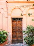 The Trastevere Door ||-Raisa Zwart-Photographic Print