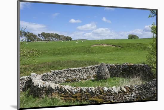 Raisbeck Pinfold Cone, Eden Valley, Cumbria, England, United Kingdom, Europe-James Emmerson-Mounted Photographic Print