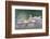 Raised high-Heidi Westum-Framed Photographic Print