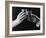 Raising Glasses-null-Framed Photographic Print