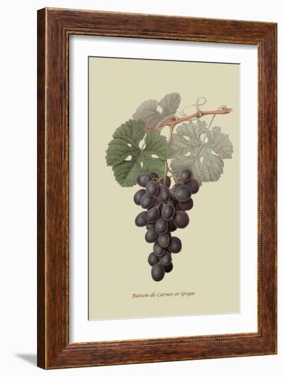 Raison De Carnes or Grape-William Hooker-Framed Art Print