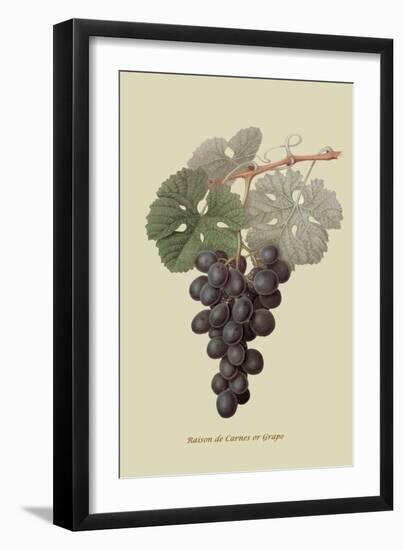 Raison De Carnes or Grape-William Hooker-Framed Art Print