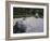 Raked Stone Garden, Taizo-In Temple, Kyoto, Japan-Michael Jenner-Framed Photographic Print