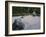 Raked Stone Garden, Taizo-In Temple, Kyoto, Japan-Michael Jenner-Framed Photographic Print