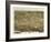 Raleigh, North Carolina - Panoramic Map-Lantern Press-Framed Art Print