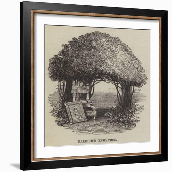 Raleigh's Yew Tree-null-Framed Giclee Print