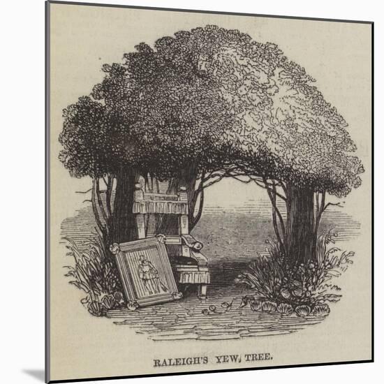 Raleigh's Yew Tree-null-Mounted Giclee Print