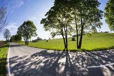 Germany, Bavaria, Country Road in Summer-Ralf Gerard-Photographic Print